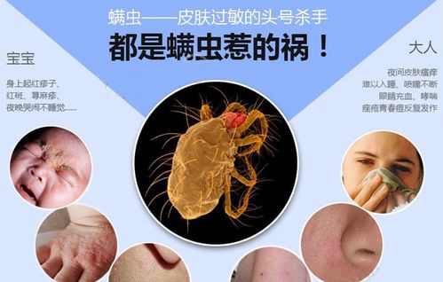 国产全新一代吸尘器 睿米NEX VX，以清晰技术开启智慧清洁新时代