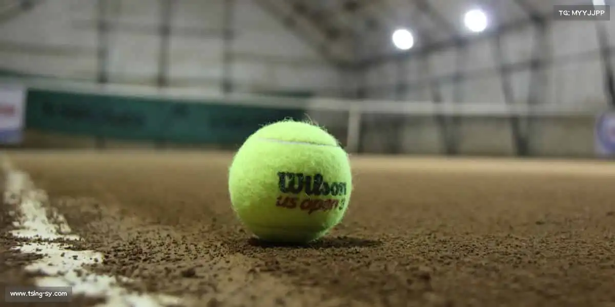 <strong>zoty中欧</strong>🎾挥动球拍，让每一次击打都充满力量！